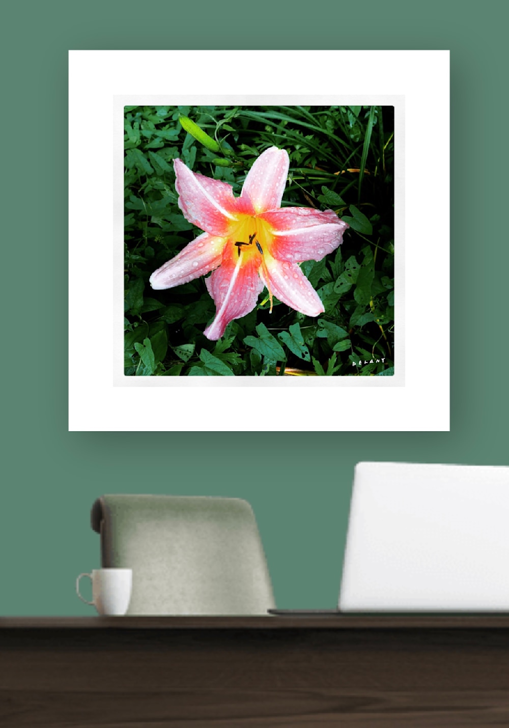 Summer Lily Print 