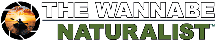 The Wannabe Naturalist Magazine