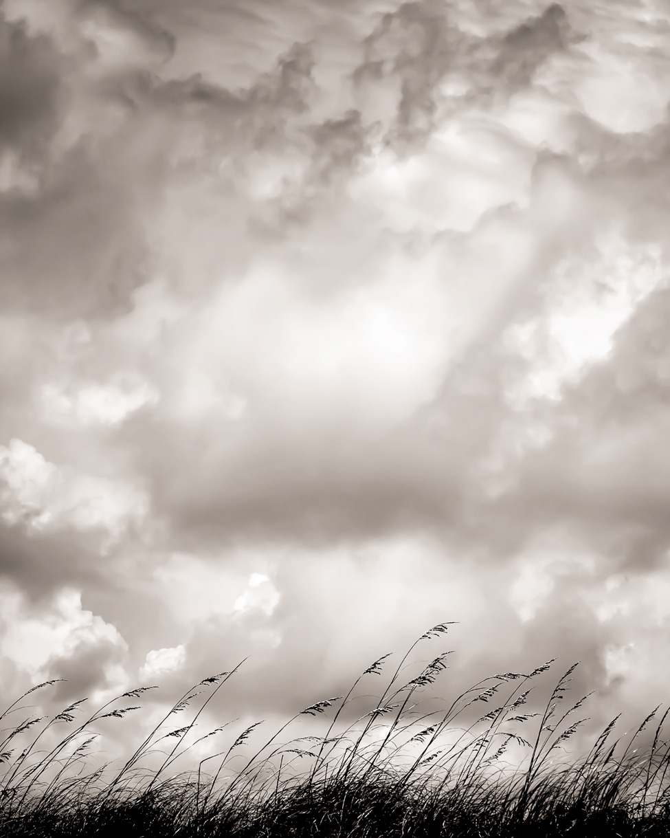 Black and white photograph of storm clouds above beach grass by Thomas Watkins
