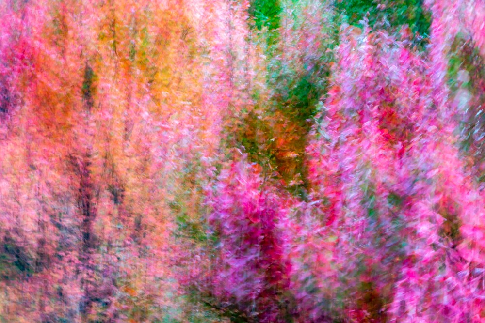 A photo of fall leaves with intentional camera movement so the colors all blend into an abstract piece