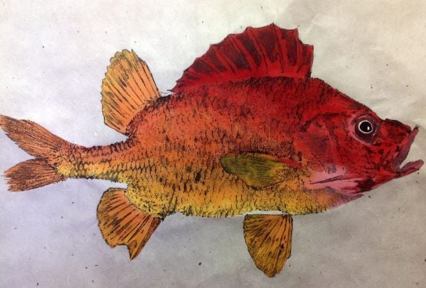 A sample fish print