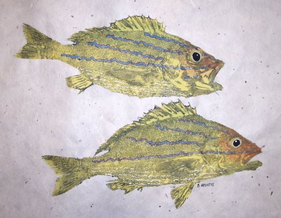 A Pair of Fish Prints