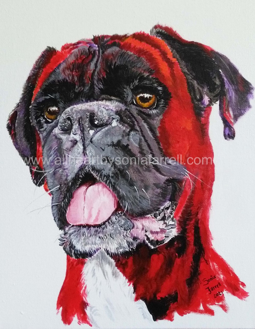 painted pet portrait in red of a Boxer dog by artist Sonia Farrell
