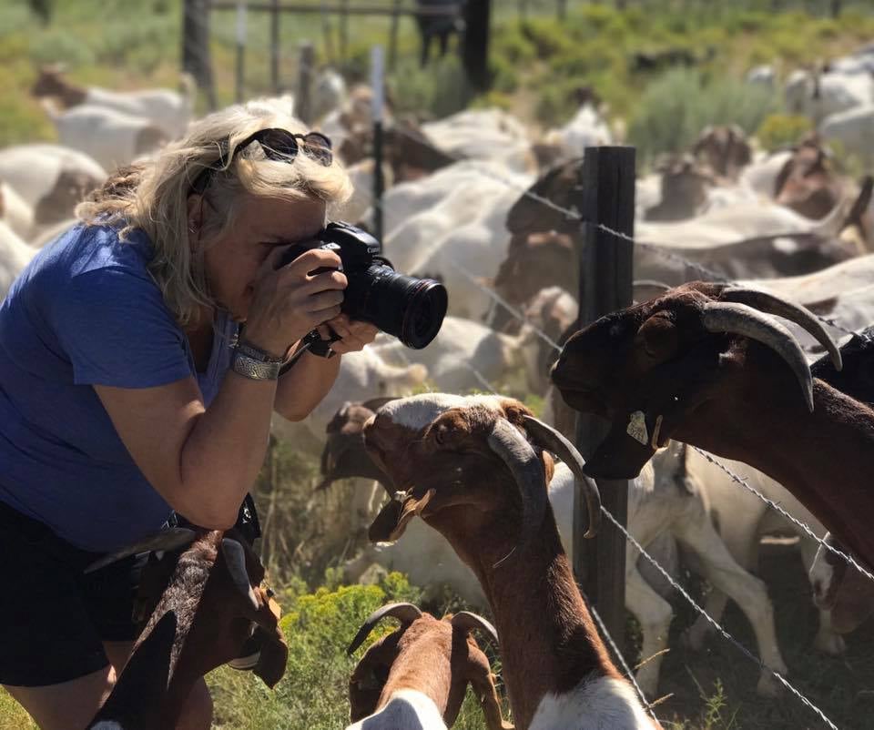 Barb Gonzalez Shooting Goats