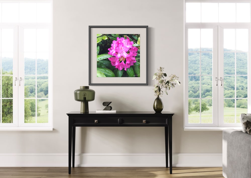 rhododendron photo print 