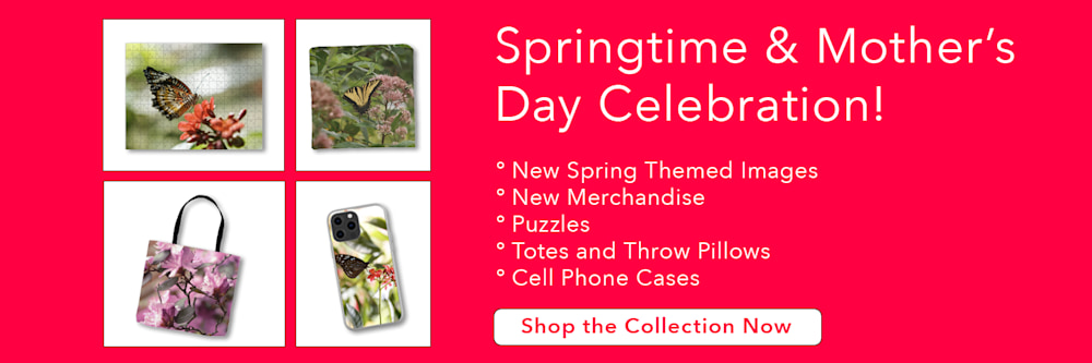 springtime and mother's day promo