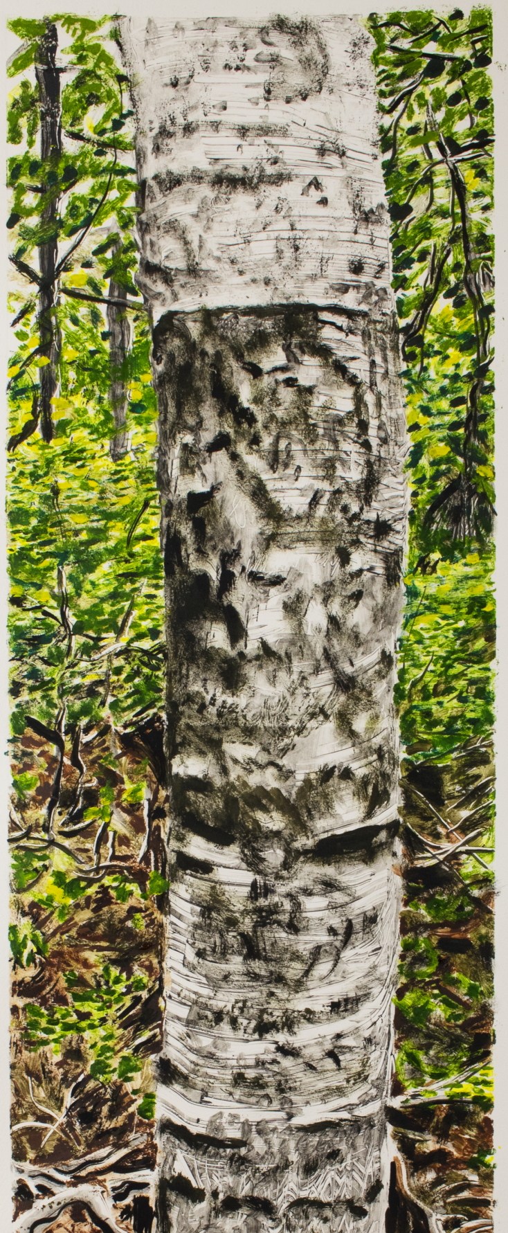 Birch Trunk #1 | manVshadow - Michael E. Voss Fine Art