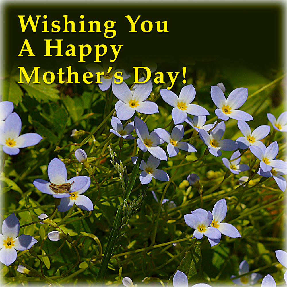 Wishing You A Happy Mother's Day!