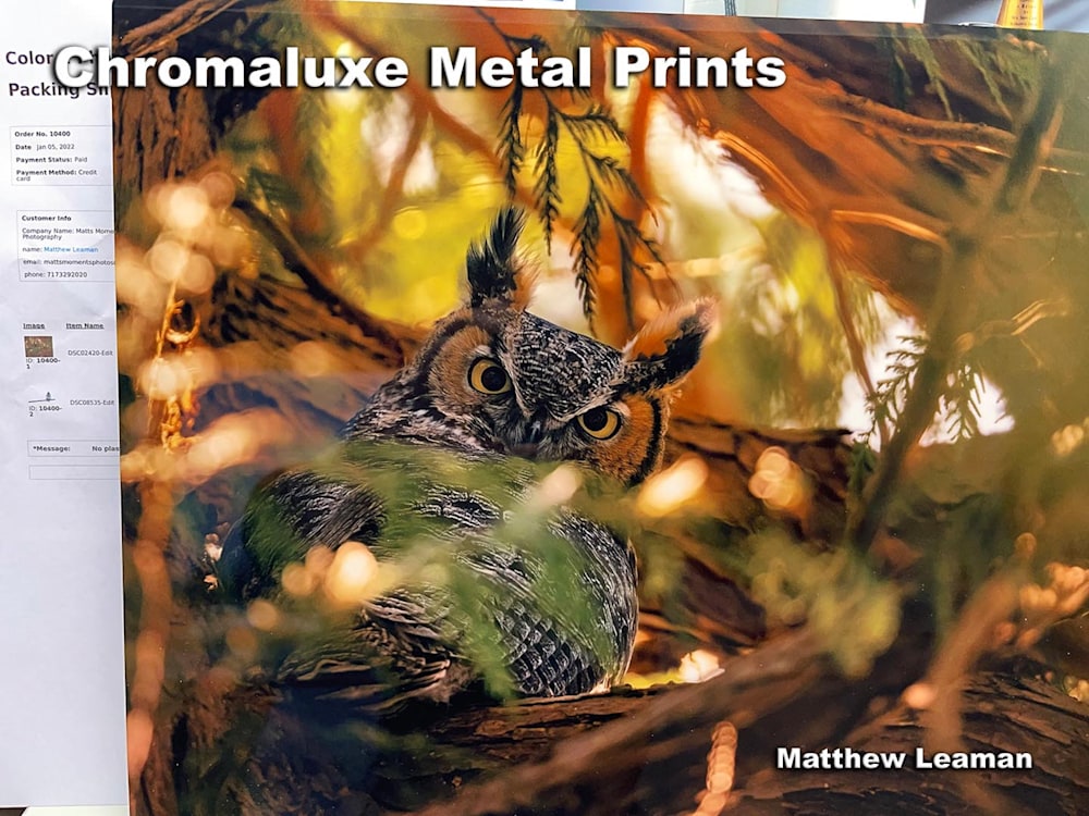 Chromaluxe Metal Prints