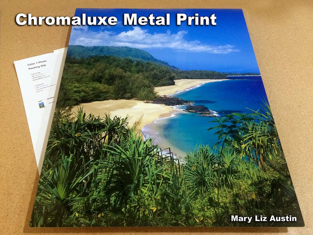 Chromaluxe Metal Print