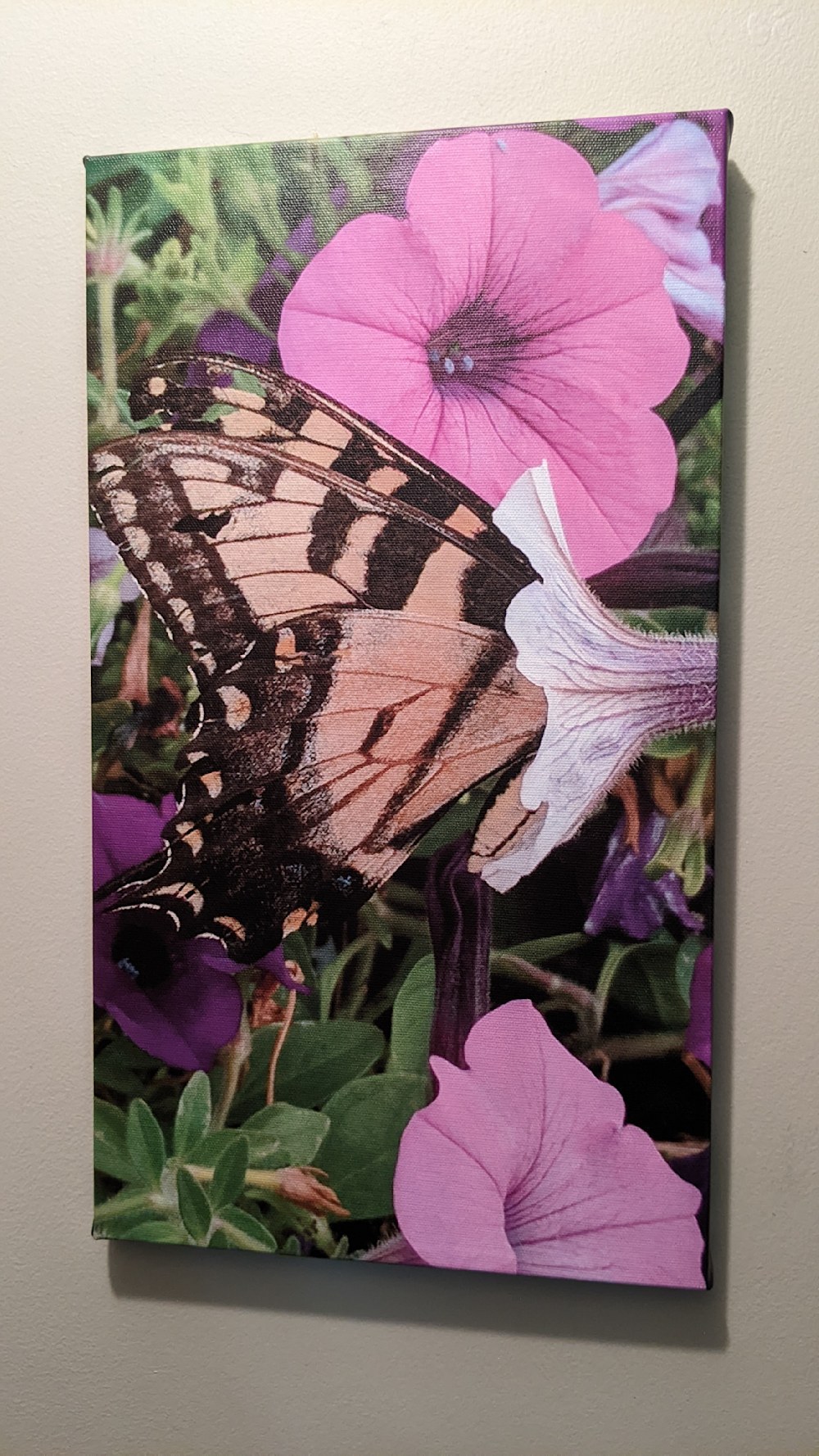 Nectar of the Gods, butterfly canvas print