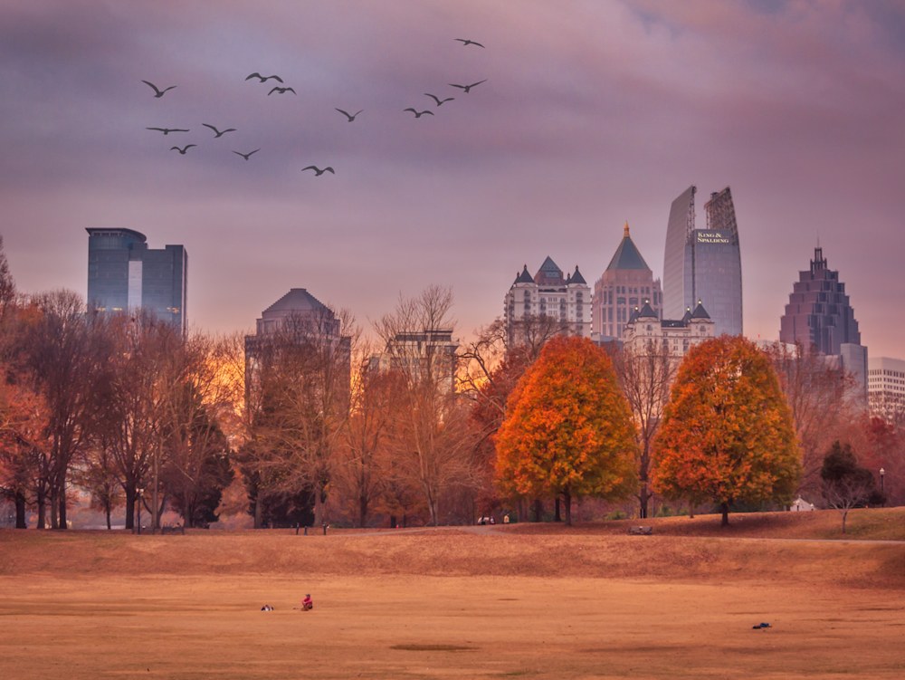 An Atlanta photographer captures a fall day at Piedmont Park