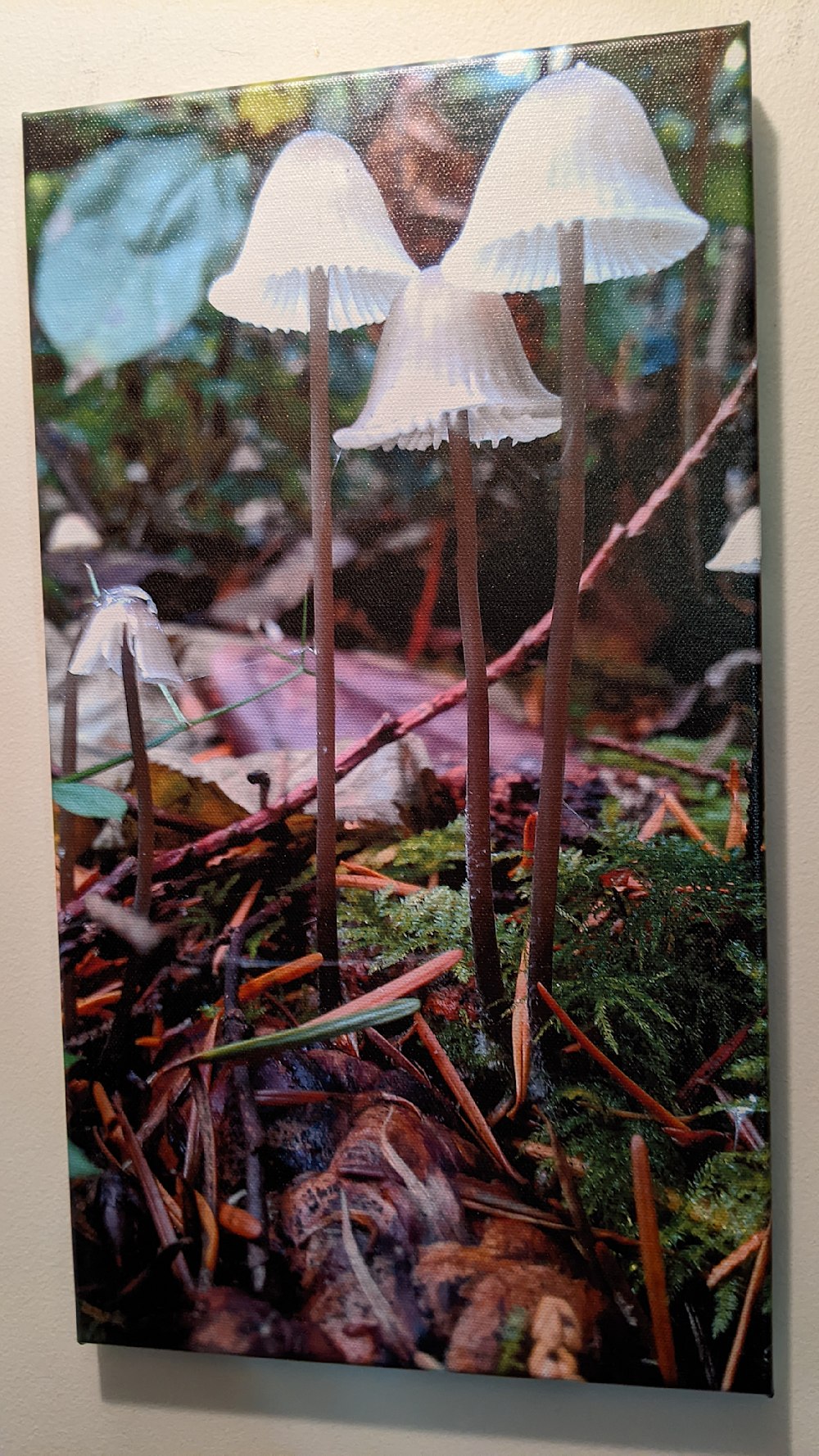 The Family, mushrooms on gallery wrapped canvas print
