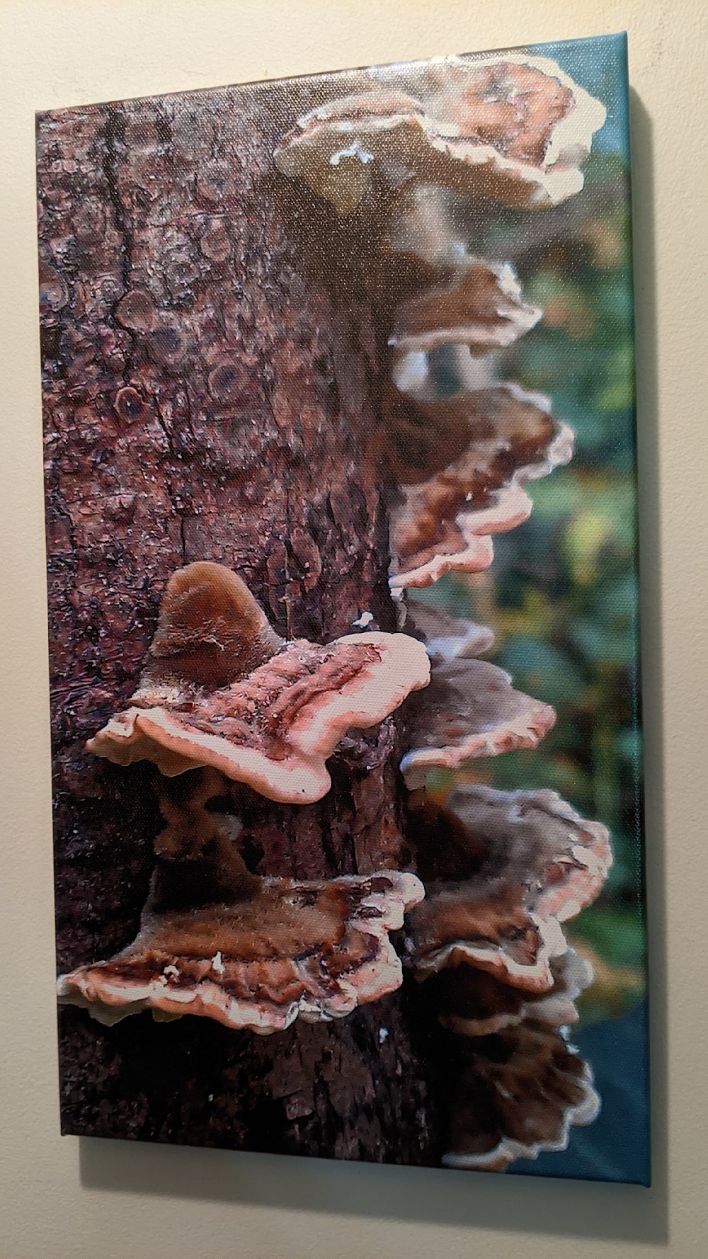 The Crowd, fungus on a tree, gallery wrapped canvas print