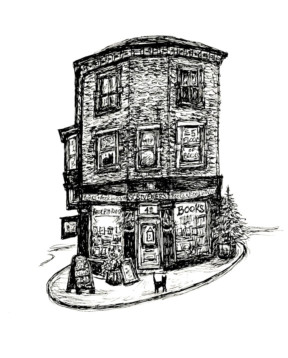 Scrivener's Bookshop Illustration by Becky MacPherson