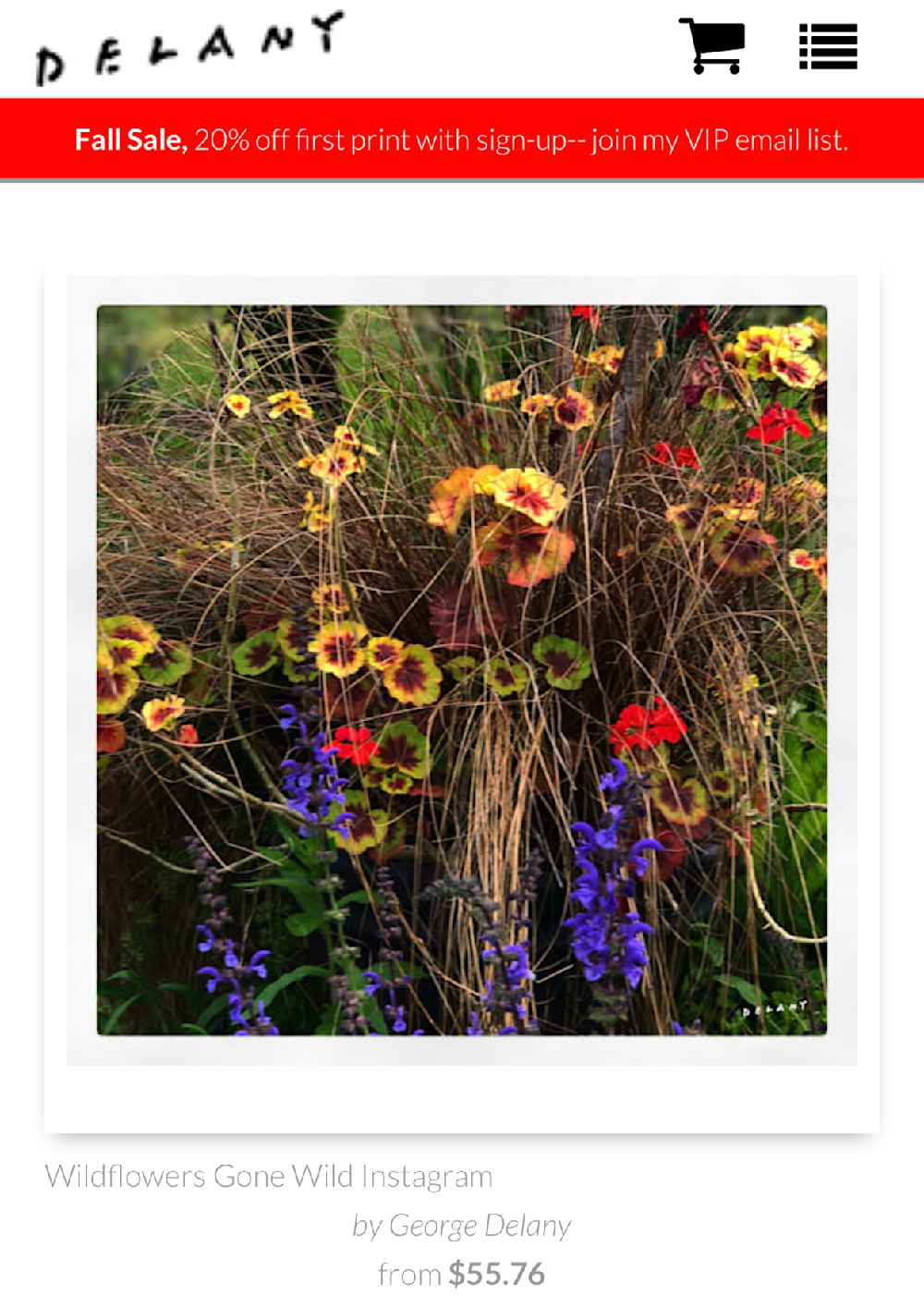 Wildflowers print 