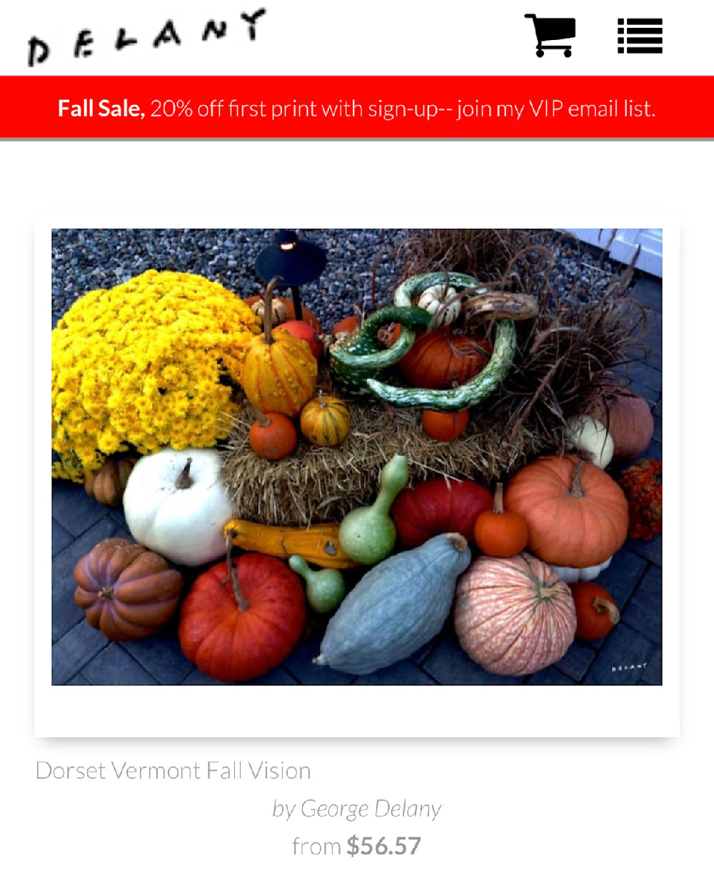 Dorset Vermont Fall Vision 