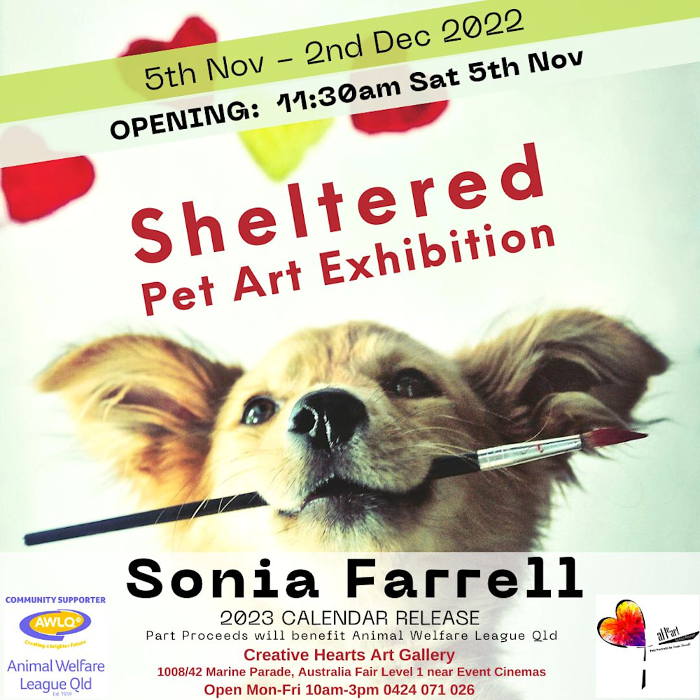 Flyer for Sheltered Pet Art Exhibition Nov 22