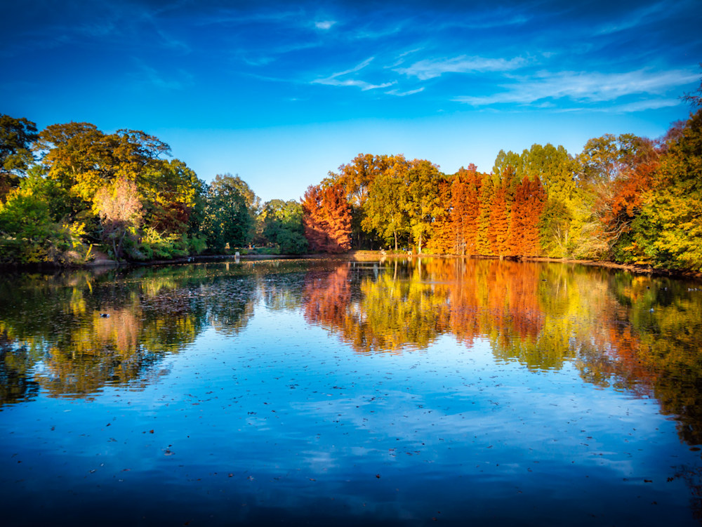 The lake at Piedmont Park with a beautiful blue sky and fall foliage on the trees