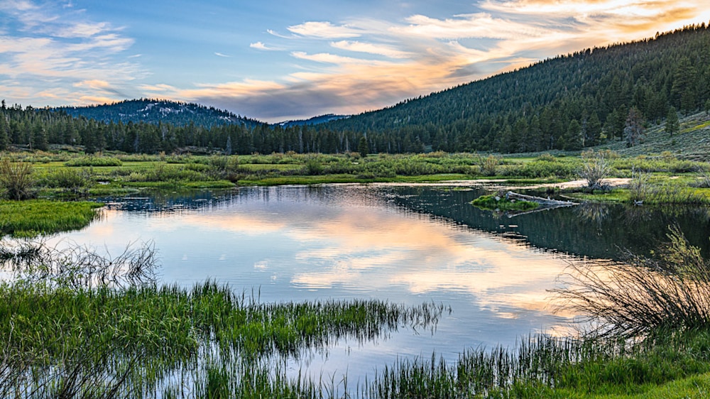photo of a pond at sunset