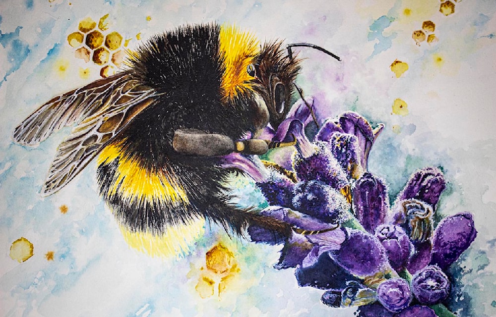 Bee & Lavender No. 1 11" x 14" Print