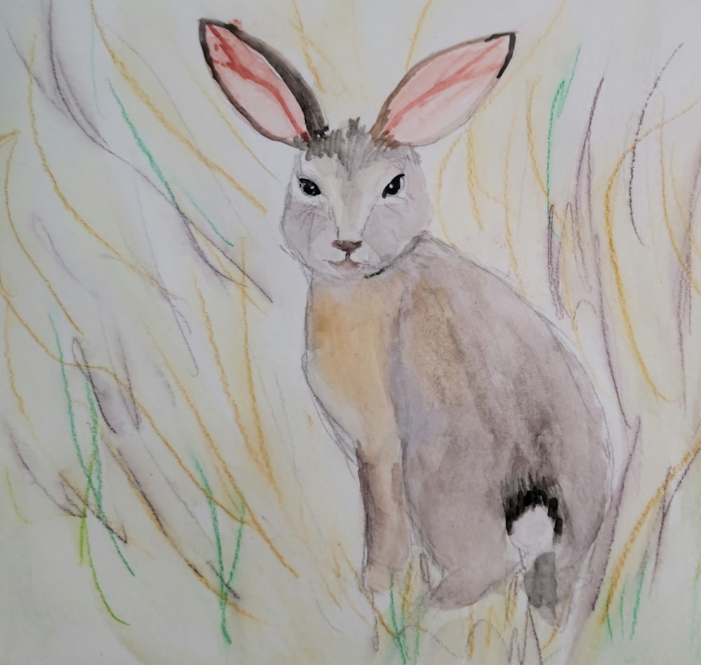 watercolor rabbit
