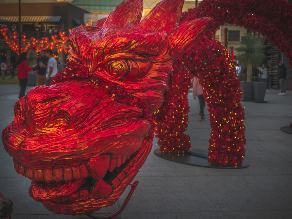 An Atlanta photographer, Chinese New Year celebration, photo of dragon