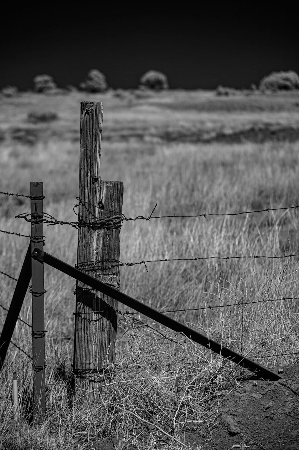 New Mexico Fence Corner