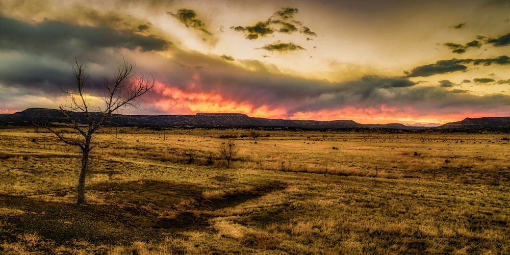 Full Spectrum New Mexico Sunset - 1