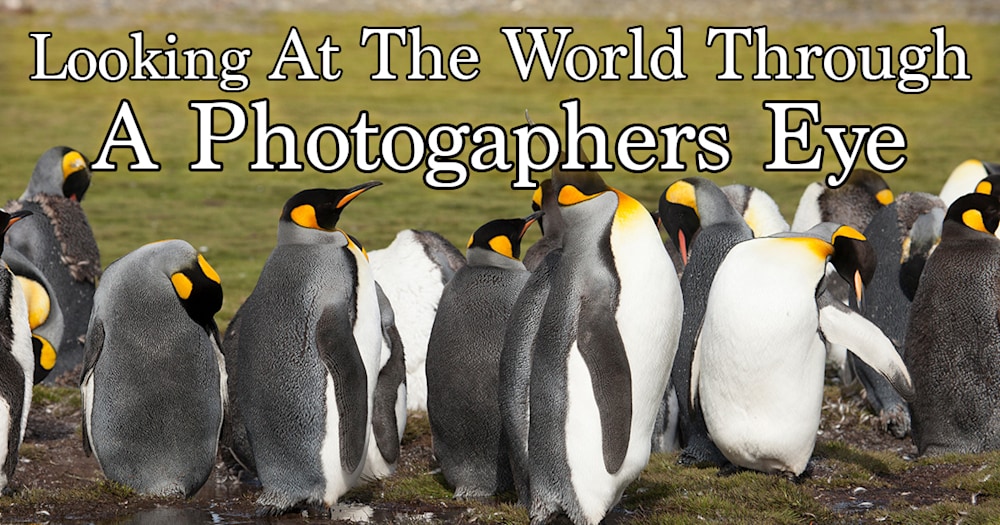 Looking at the world through a photographer's eye article banner