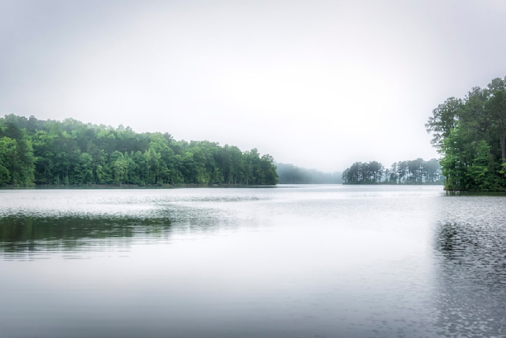 An Atlanta photographer getting photos on a foggy morning at Lake McIntosh in Peachtree City, Georgia
