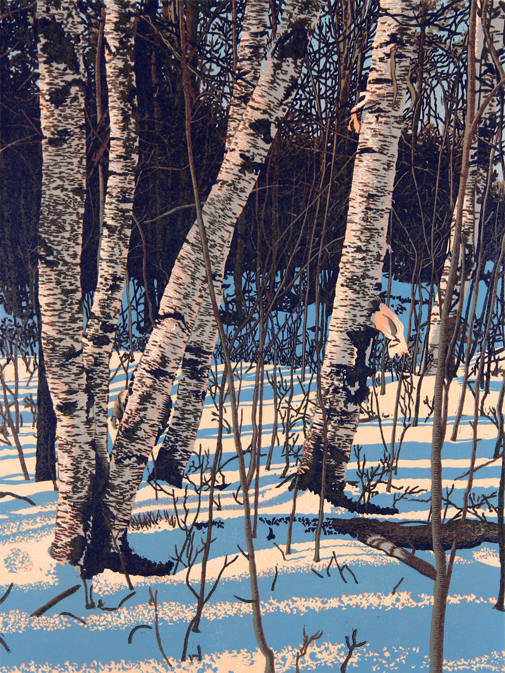 White Birch Shadows, linocut print by William H. Hays
