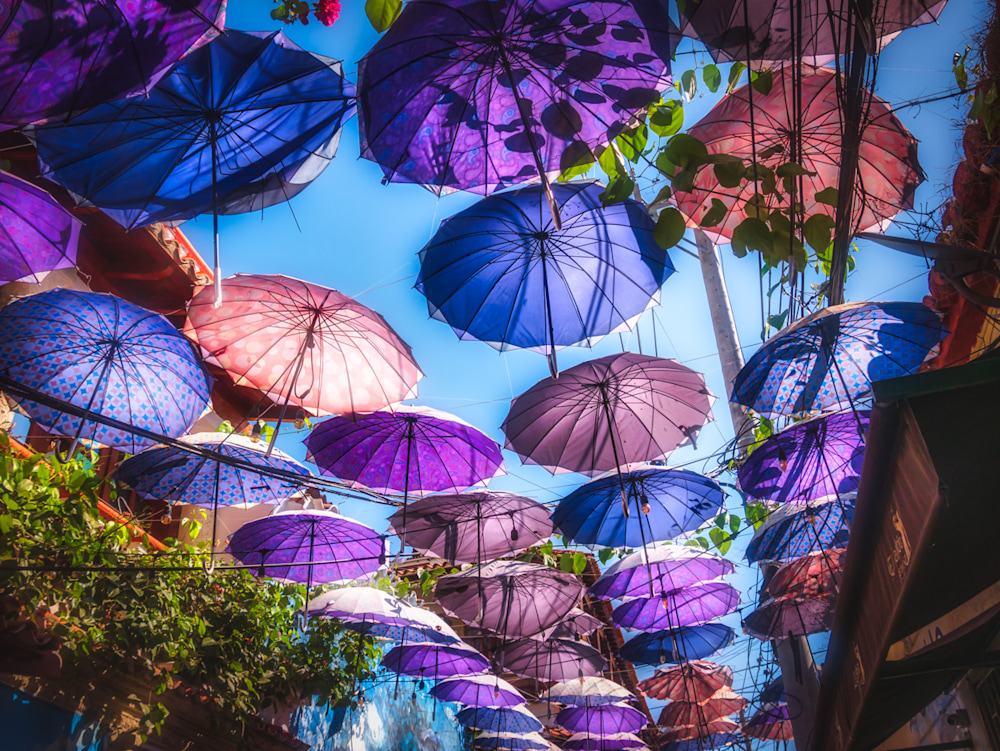 An Atlanta photographer captures beautiful purple umbrellas hanging overhead on a street in the Old City of Cartagena, Colombia