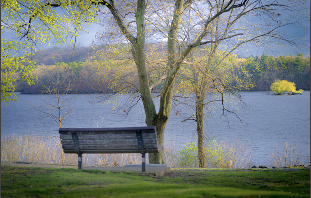 A beautiful park bench overlooking water and trees. 