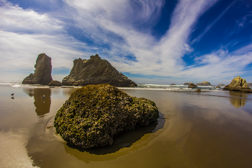 Face Rock Bandon Beach Oregon Coast