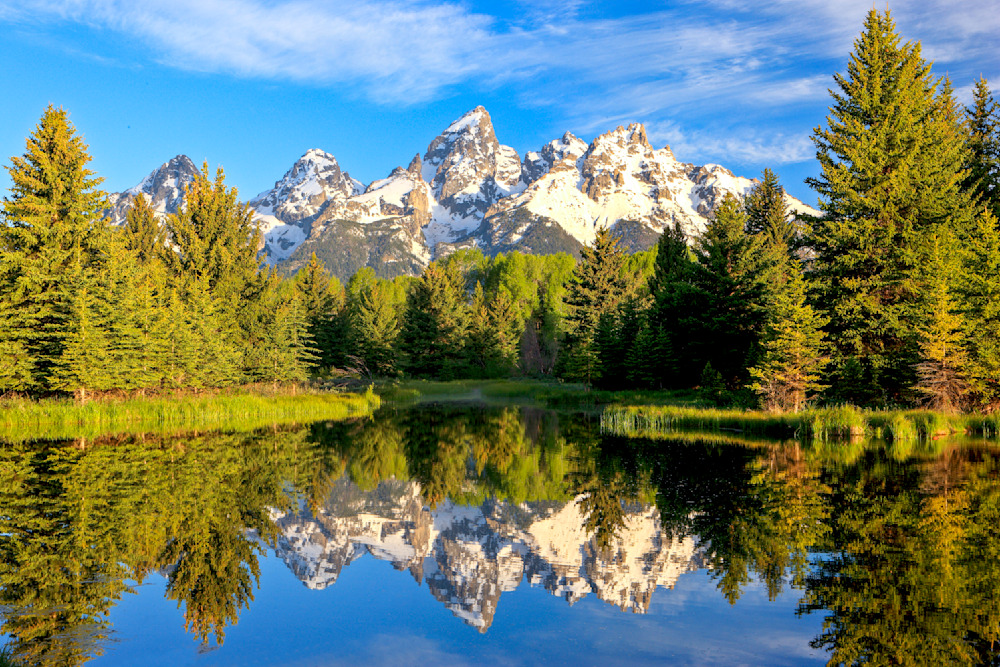 Snowy Teton peaks mirrored perfectly in the still waters of a lake framed by green pine trees