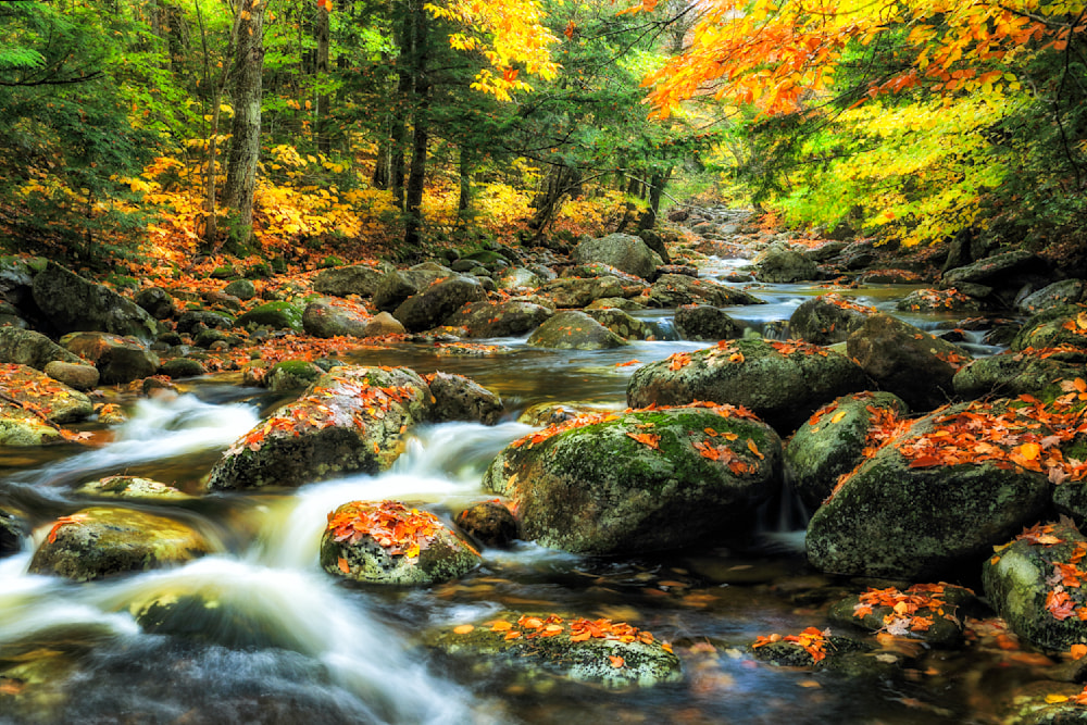 Golden leaves drift among mossy river rocks in a vibrant autumn forest — a visual whisper of transformation and renewal