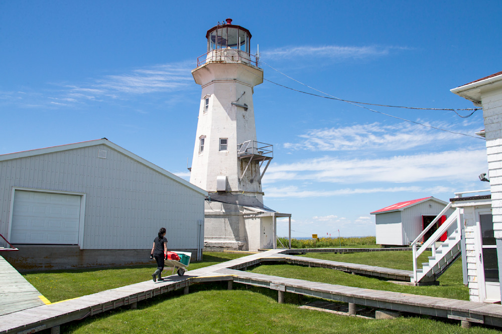 Machias Seal Island -Disputed Sanctuary for Atlantic Puffins