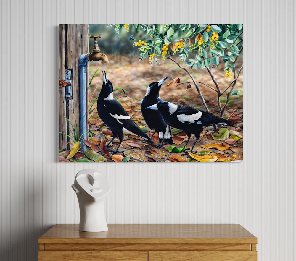 Australian Magpie Art