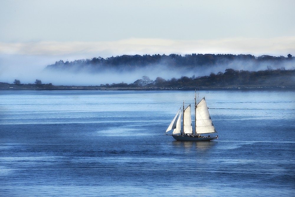 Schooner sailing toward a misty tree-lined shore in soft blue morning light