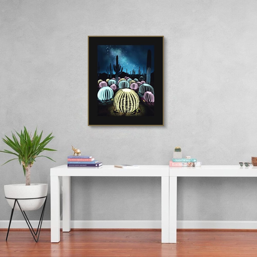 Cacti Constellations hanging above a shelving unit.