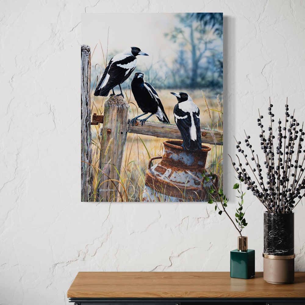 Australian-magpie-wildlife-art-print.jpg