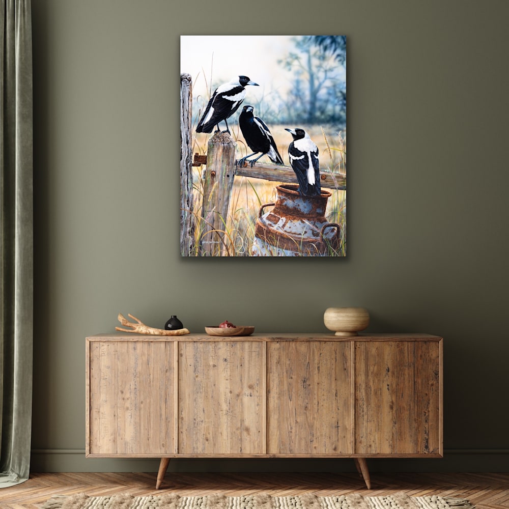 australian-magpie-art-prints