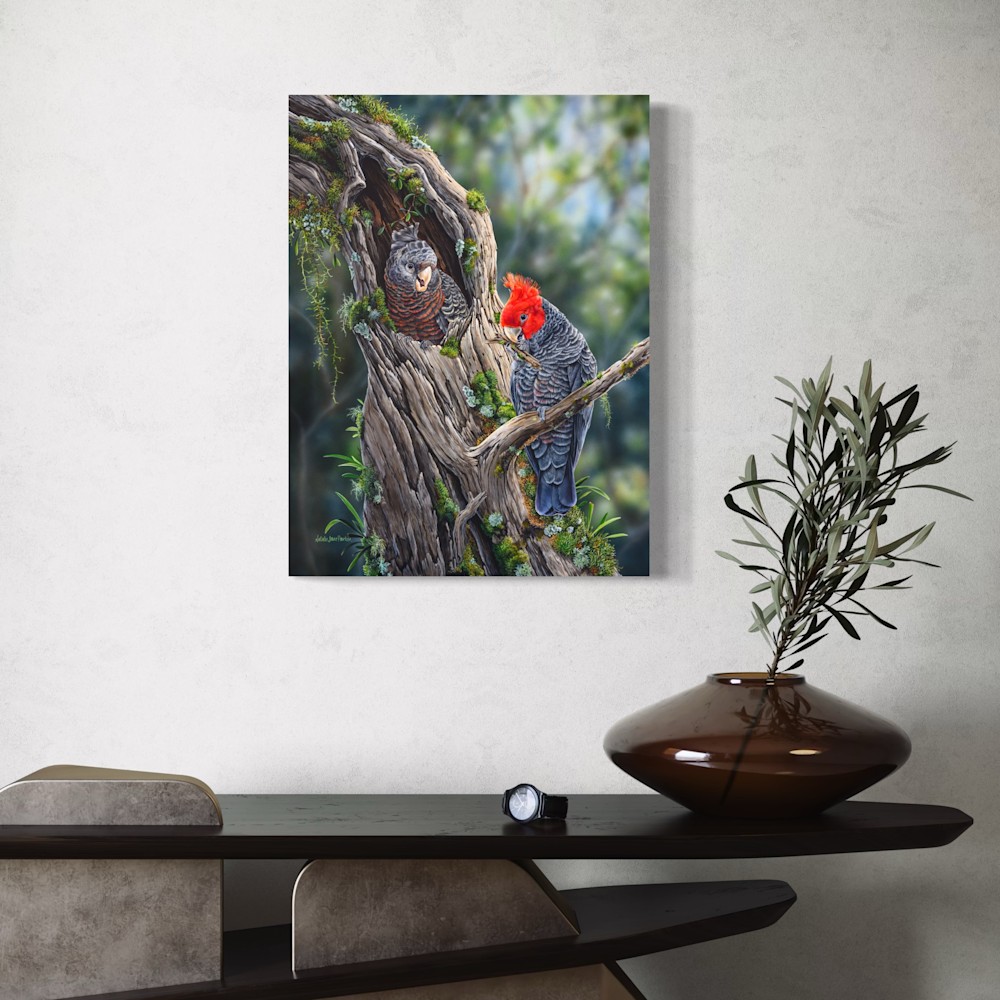 australian-parrot-art-prints