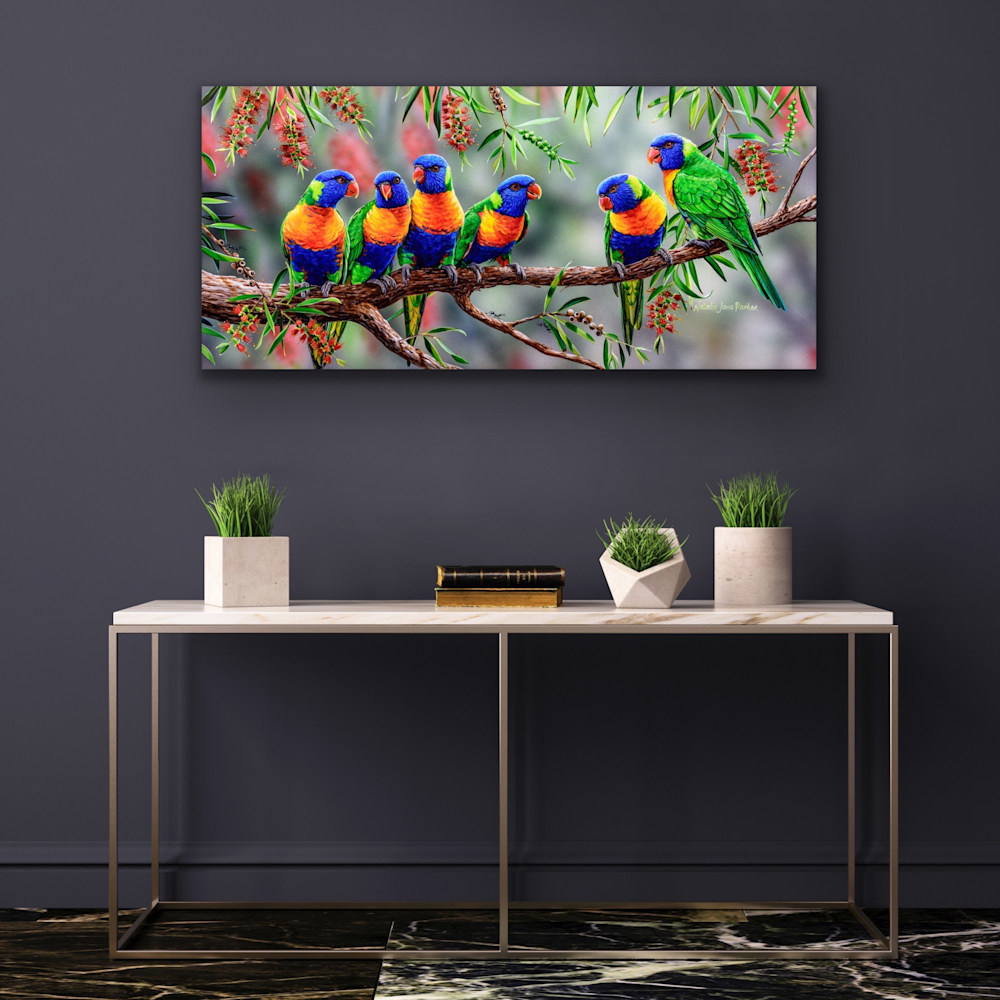 australian-lorikeet-art-prints