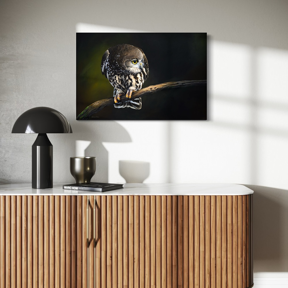 australian-birds-of-prey-art-prints