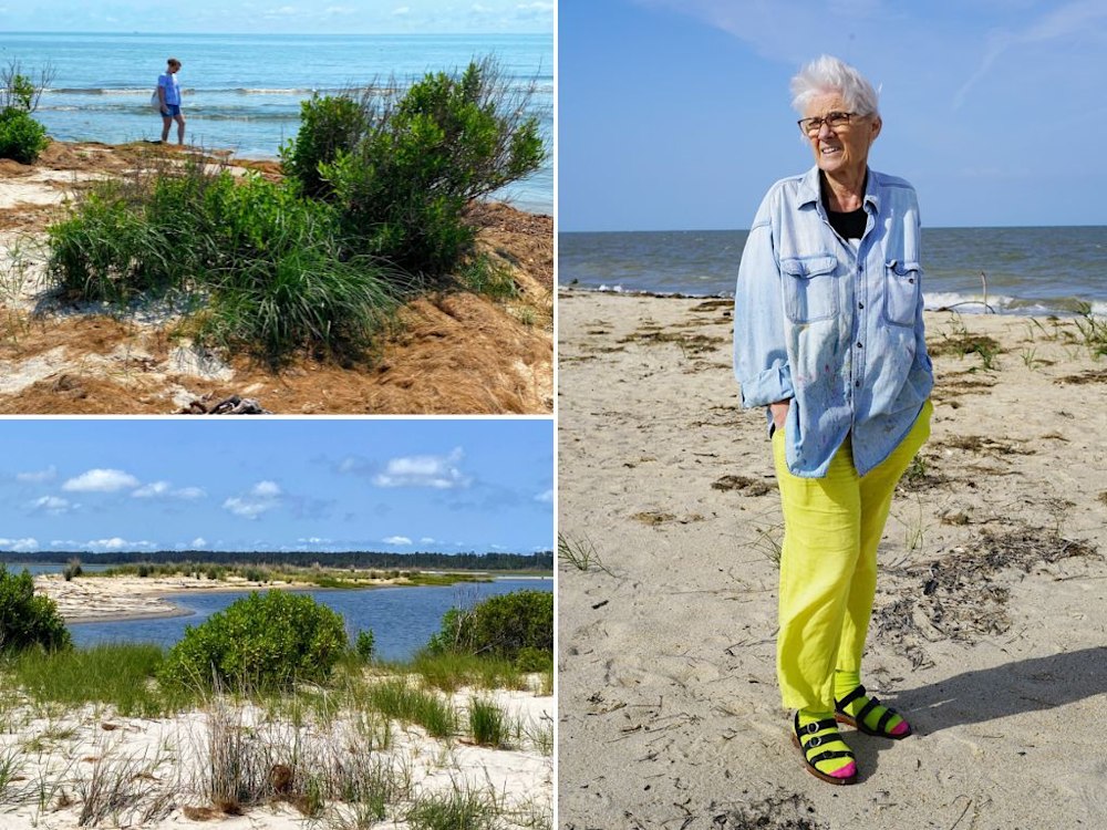Dorothy Fagan Fine Arts