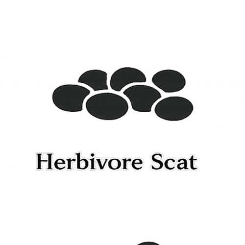 Herbivore scat glyph showing clustered pellets in a uniform repeating pattern representing grazing mammals