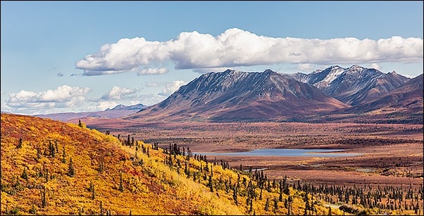 Glacier View Fall Workshop