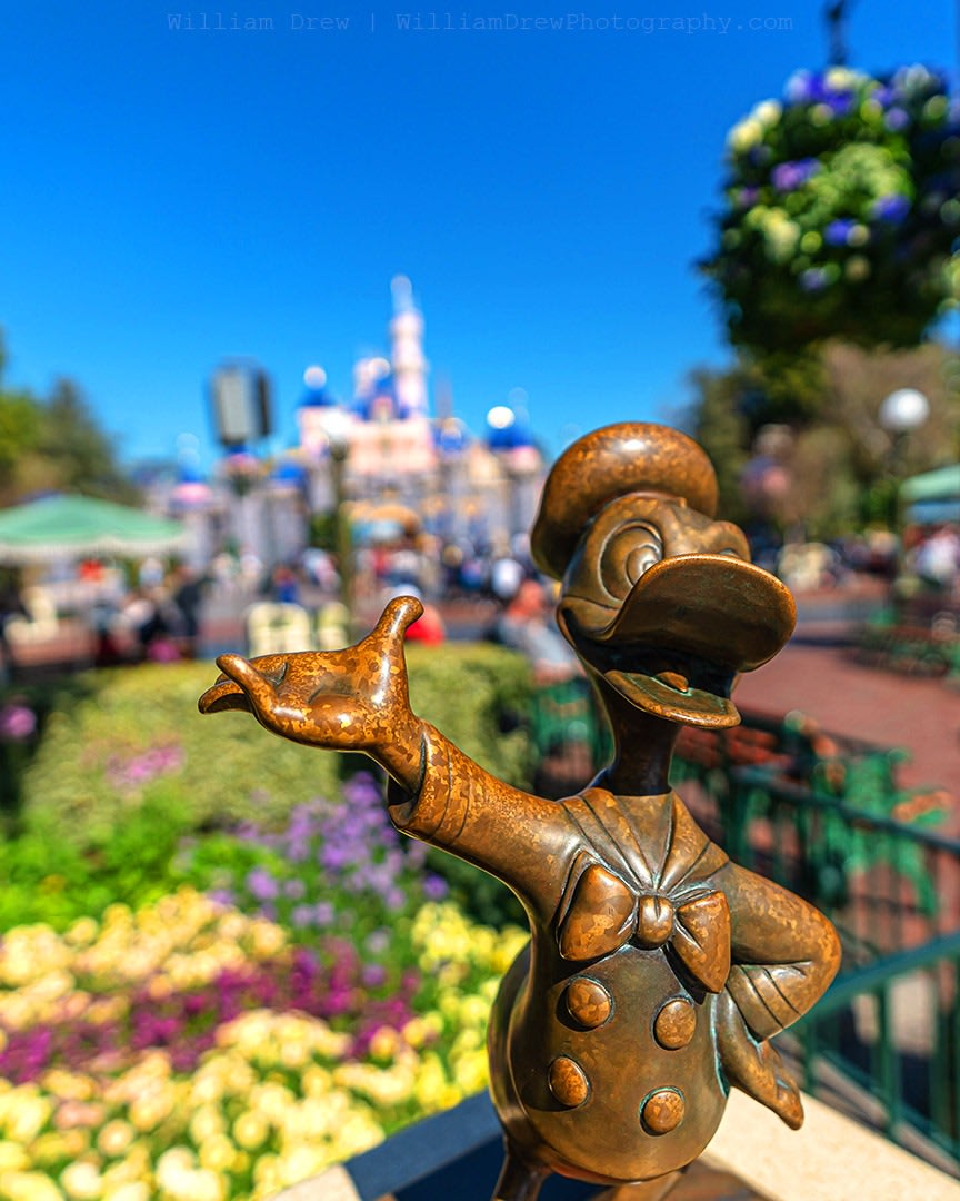 Donald Duck and Sleeping Beauty Castle